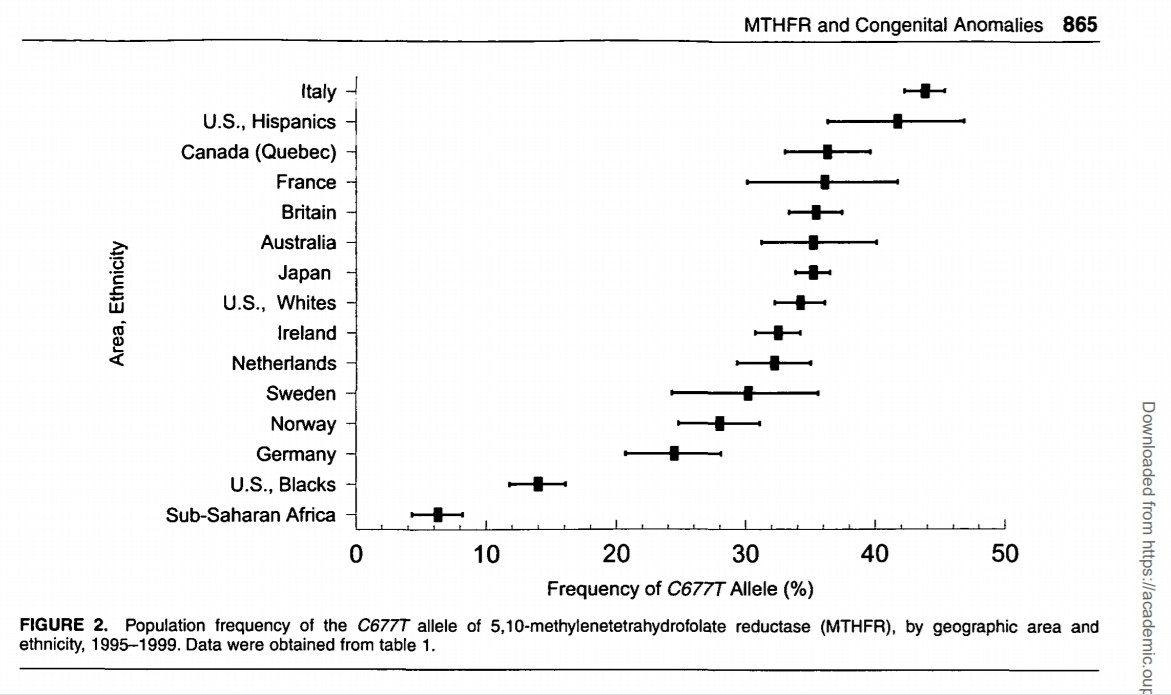 "Acido folico vs folati attivi: come la mutazione MTHFR cambia tutto nel metabolismo della vitamina B9"